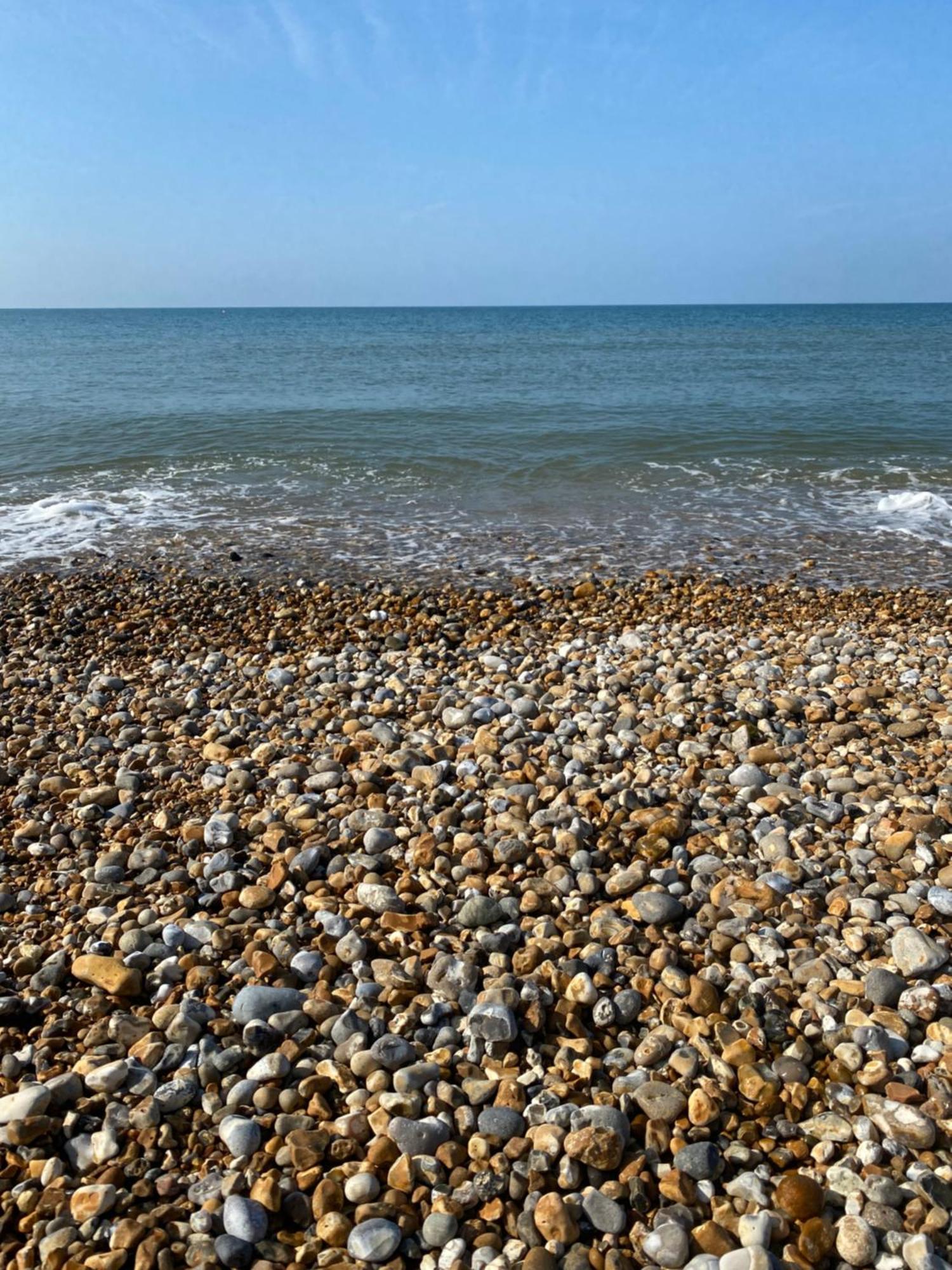 Seal Bay, West Sands Селси Екстериор снимка